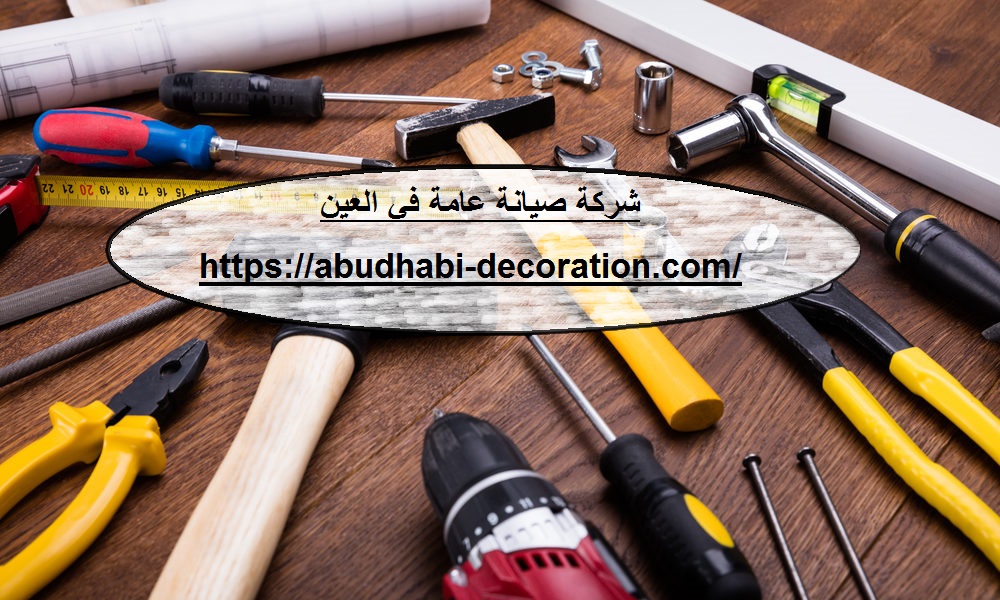 شركة صيانة عامة في العين